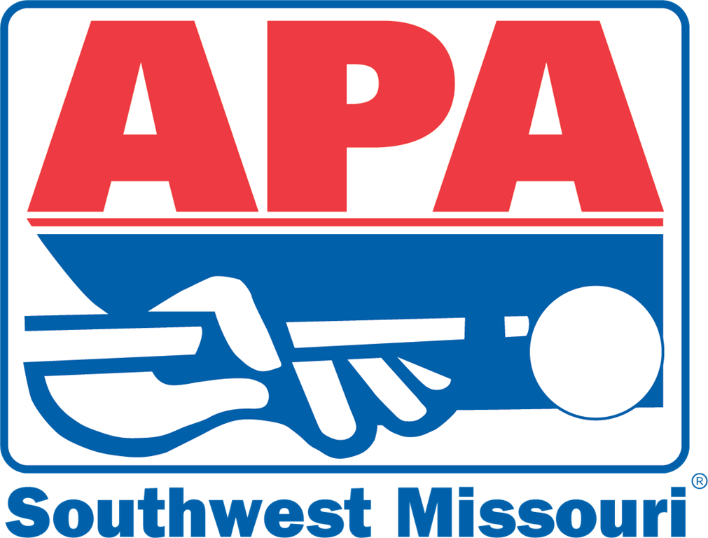 The APA World Pool Championship